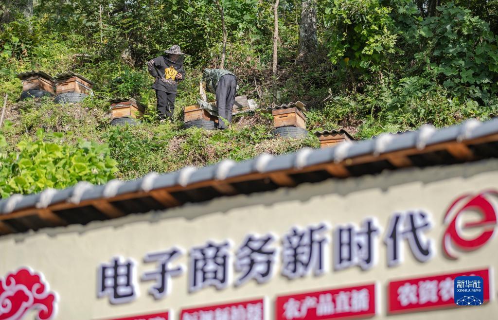 太阳城游戏官网